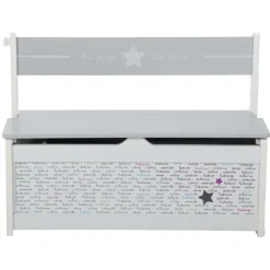Banc Coffre Jouets 2 En 1