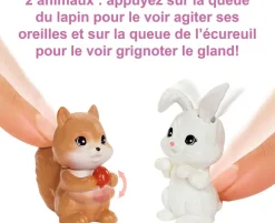 Barbie Et Son Amie Font Du Camping