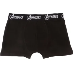 5 Boxers Avengers