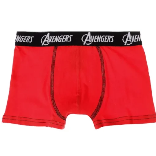 5 Boxers Avengers