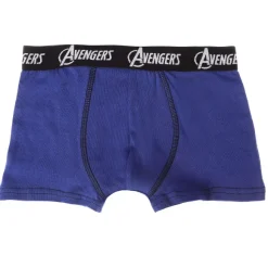 5 Boxers Avengers