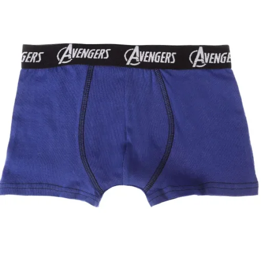 5 Boxers Avengers
