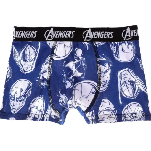 5 Boxers Avengers