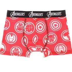 5 Boxers Avengers