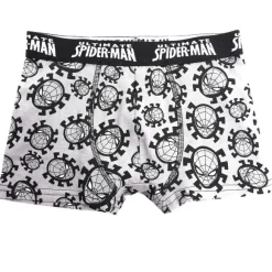 5 Boxers En Coton Spiderman
