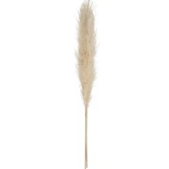 3 Branches De Pampa S Ch Es 110Cm
