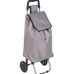 Chariot De Courses 2 Roues Gris
