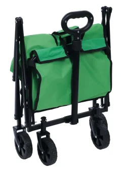 Chariot De Plage Vert