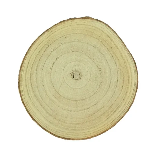 Dessous De Plat Rondin De Bois
