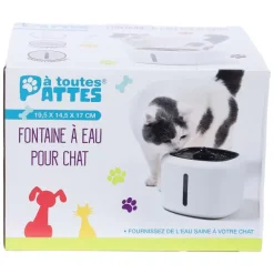 Fontaine Eau Pour Chat