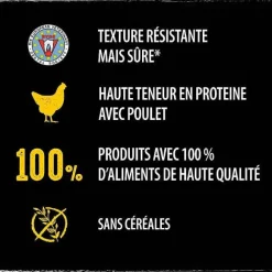 Friandises Pour Chien Au Poulet