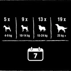 Friandises Pour Chiens Au B Uf