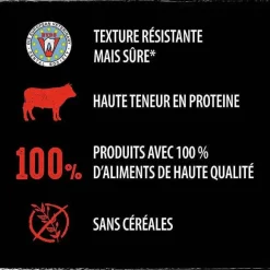 Friandises Pour Chiens Au B Uf