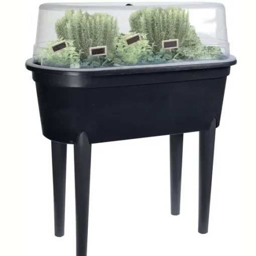 Jardinet Noir Pieds Amovibles Avec Serre