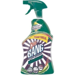 Pistolet Nettoyant D Graissant