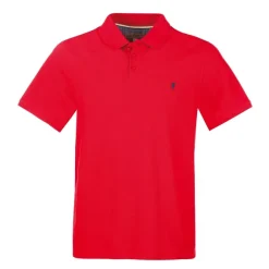 Polo En Maille Piqu Avec Broderie Poitrine