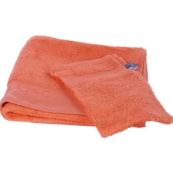 1 Serviette De Toilette 50X100 + 1 Gant Corail