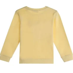 Sweat Avec Illustration 3/6 Ans
