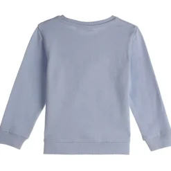 Sweat Avec Illustration 3/6 Ans