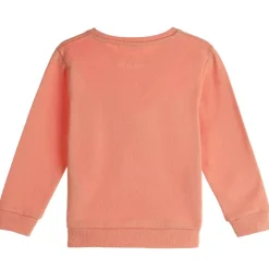 Sweat Avec Illustration 3/6 Ans