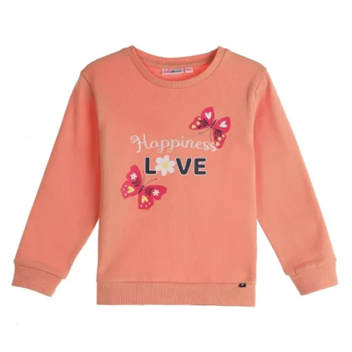 Sweat Avec Illustration 3/6 Ans
