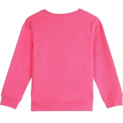 Sweat Avec Illustration 3/6 Ans