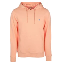 Sweat Capuche Taupe Ou