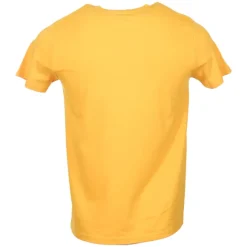 Tee-Shirt Maitre Nageur Stagiaire