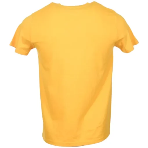 Tee-Shirt Maitre Nageur Stagiaire